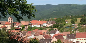 Colline du Bickenberg