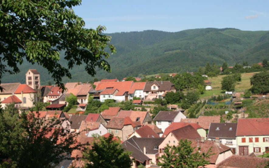 Colline du Bickenberg