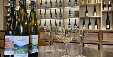 Saveurs automnales chez le vigneron