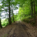 Circuit poussette - Petit tour du Faudé