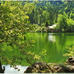 Pêche aux lacs du Neuweiher