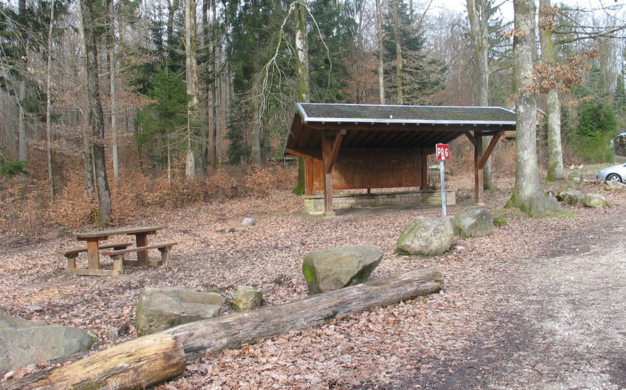 Aire de pique-nique de la forêt du Banney