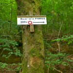 Roche de la Forge