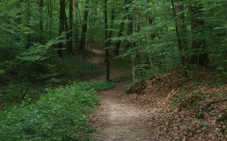 Parcours de santé à Châtenois