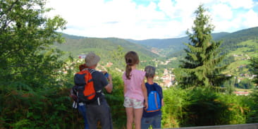 Balade famille en forêt vosgienne