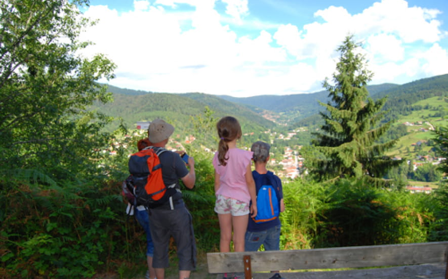 Balade famille en forêt vosgienne