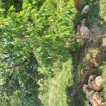 Bergerie des Deux Sources