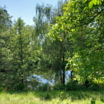 Gite de la Forêt des 3M