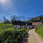 Meublé de Tourisme Casa Mypi : La clairière