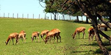 Le Ranch