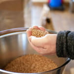 Glissez vous dans la peau d'un distillateur !