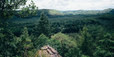 Réserve naturelle des rochers et tourbières du pays de Bitche
