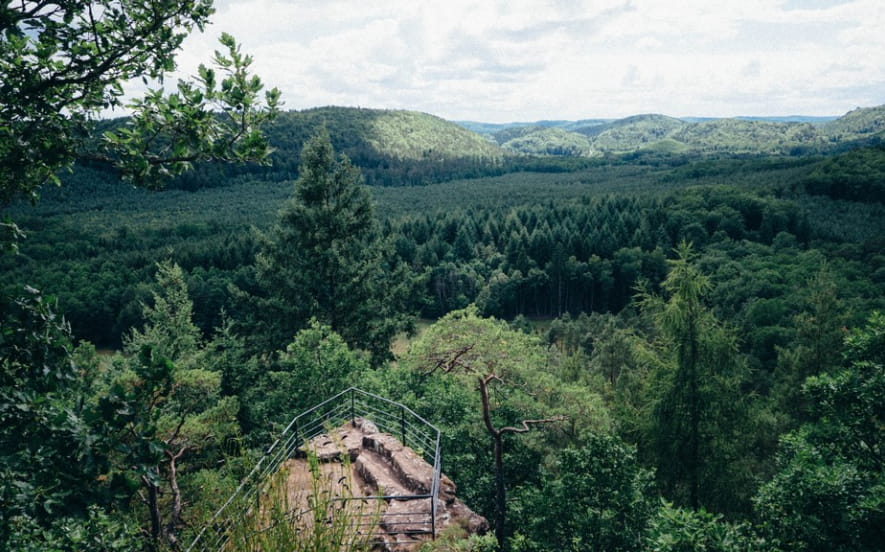 Réserve naturelle des rochers et tourbières du pays de Bitche