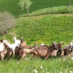 Ferme auberge du Lochberg