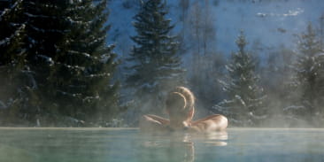 Hôtel Spa La Cheneaudière