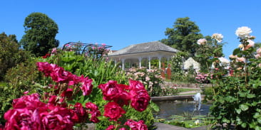 Roseraie de Saverne