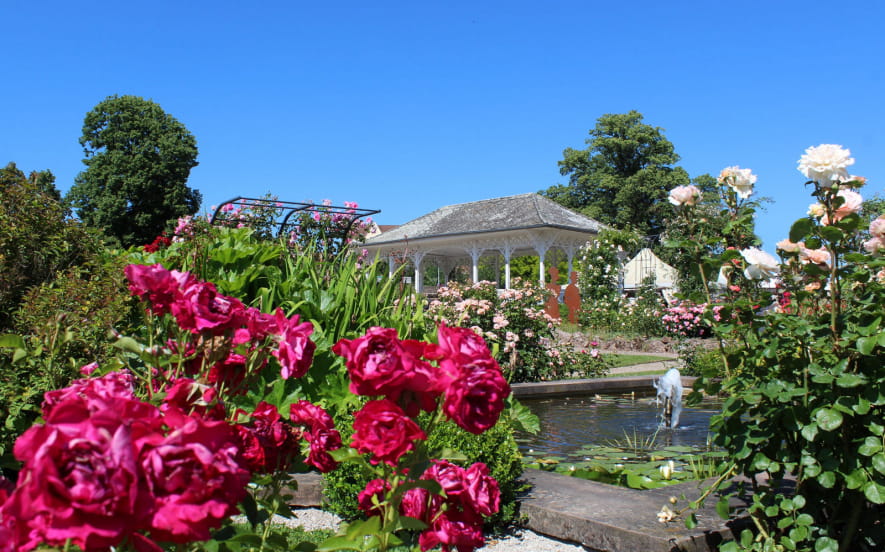 Roseraie de Saverne