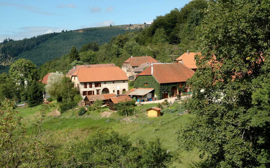 Circuit rando C01 : Autour du plus petit village d'Alsace