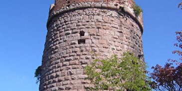 Château du Haut Ribeaupierre (ou Altenkastel)