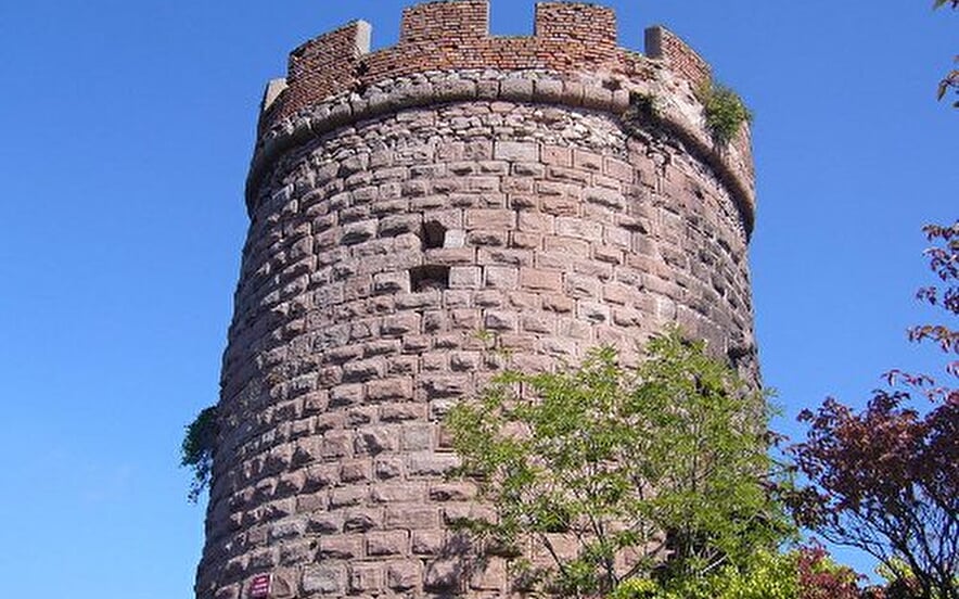 Château du Haut Ribeaupierre (ou Altenkastel)