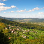 La réserve biologique dirigée de Wolschwiller