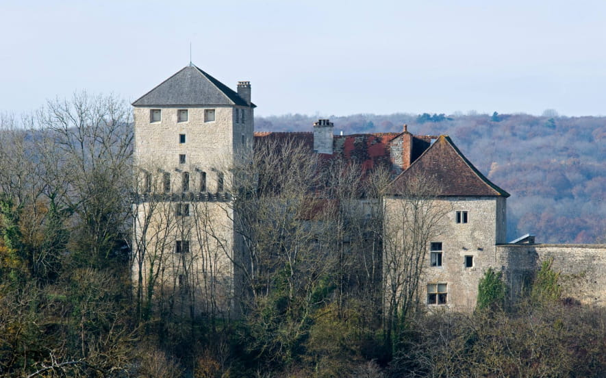 Château de Valleroy