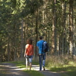 Sentier thématique : Le sentier de la poésie