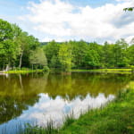 L'étang de pêche du Rayau