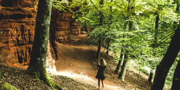 Rocher de l'Altschlossfelsen