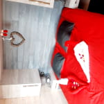 Nature Cottage Vosges : le Renard