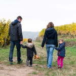 Le vignoble de Guebwiller