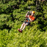 Parc Alsace Aventure