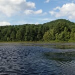 Étang de Waldeck - réserve naturelle