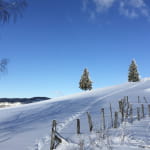 Verticales Vosges : via ferrata