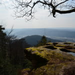 Point de vue de la tête des cuveaux