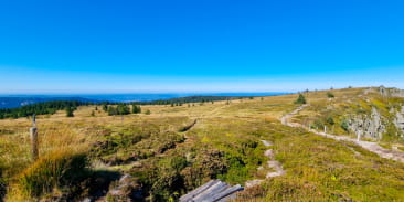 La réserve naturelle du Tanet - Gazon du Faing