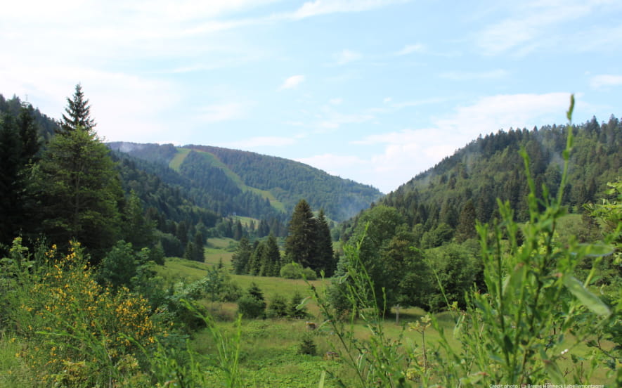 Balade pédestre en passant par Thiaville