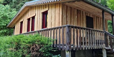 Le Chalet de la Forêt