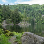 Lac de l'Altenweiher