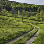 Balade famille : Autour de Belmont