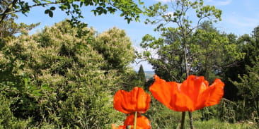 Jardin Botanique du Col de Saverne