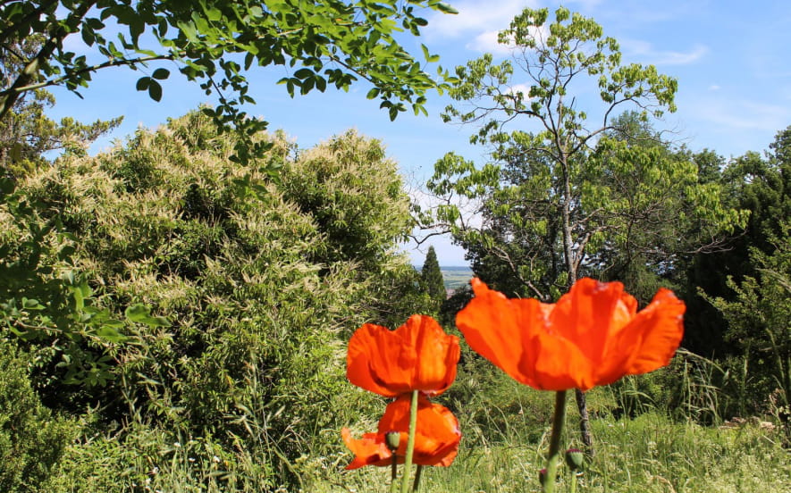 Jardin Botanique du Col de Saverne