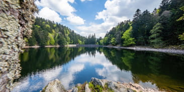 Lac de l'Altenweiher