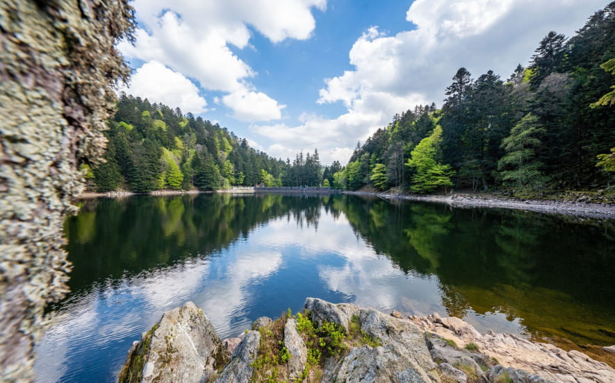 Lac de l'Altenweiher