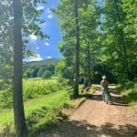 Le vignoble de Leimbach