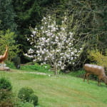 Famille Bosshardt