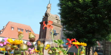 Saverne au fil de l'eau