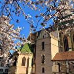 La collégiale Saint-Thiébaut