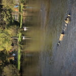 Rivière piscicole de la Reigne