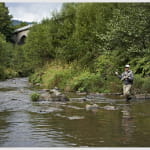 Pêche en rivière